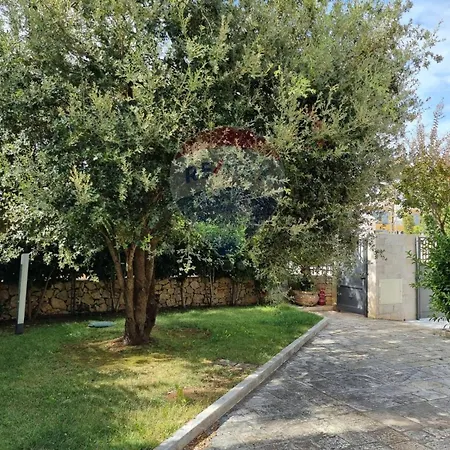 Villa White *
